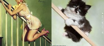 Cats+that+pose+like+pin-up+girls.
