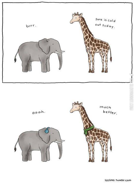 Animals+in+the+winter.