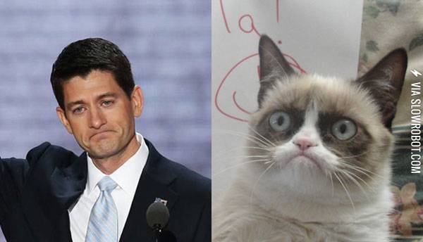 Doppelg%C3%A4ngers%3A+Paul+Ryan+and+Grumpy+Cat.