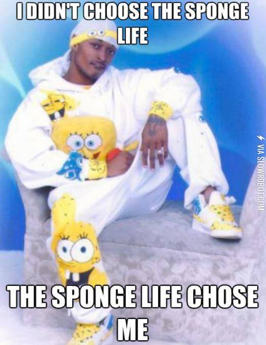 The+sponge+life