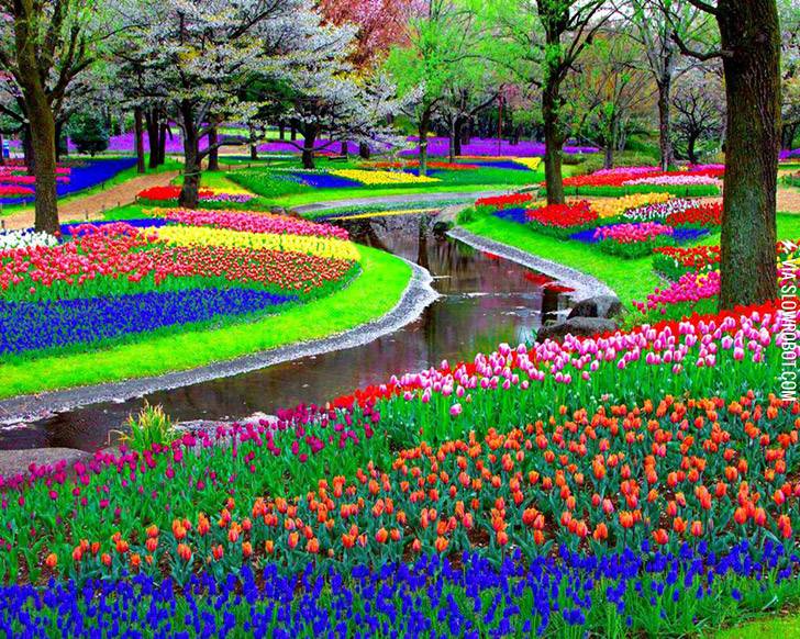Keukenhof+Park.