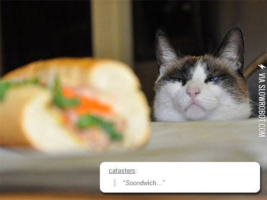 Soonwich.