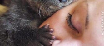 Baby+otter.