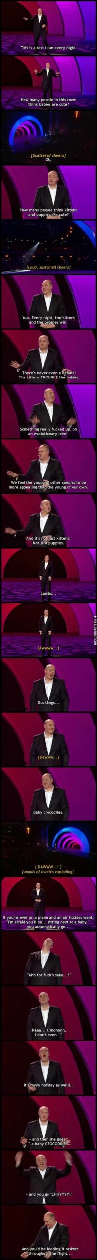 Human+babies+vs.+other+babies