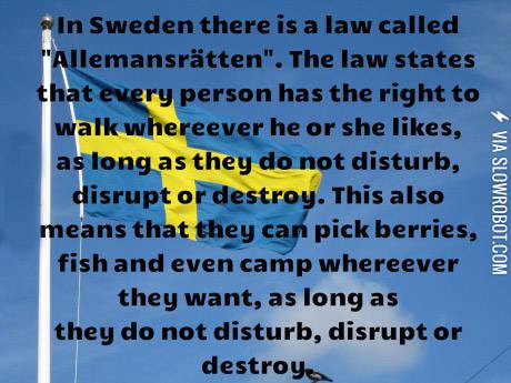 America+has+been+out-freedomed.