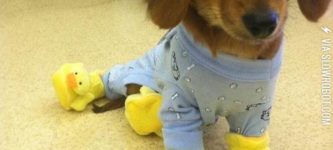 Pajamas+and+ducky+slippers