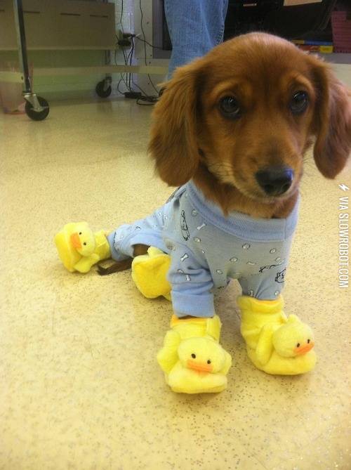 Pajamas+and+ducky+slippers