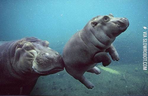 When+mom+tells+you+to+go+say+hi+to+her+friends.