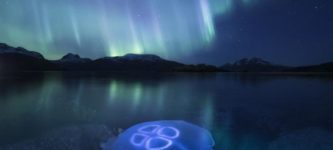 Jellyfish+under+the+Aurora+Borealis+off+the+coast+of+Northern+Norway
