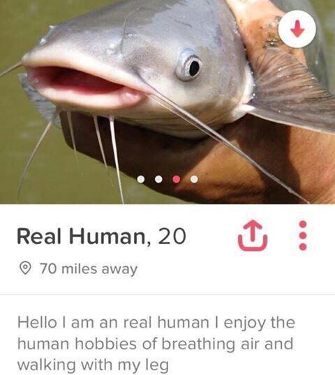 Looks+like+a+catfish