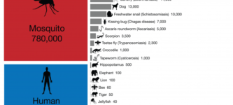 World%26%238217%3Bs+deadliest+animals