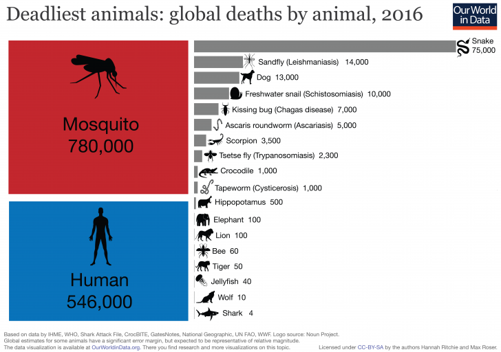 World%26%238217%3Bs+deadliest+animals