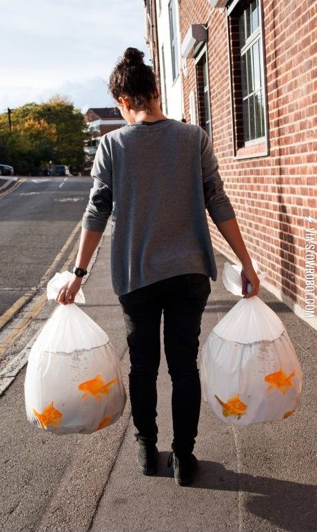 Goldfish+trash+bags.