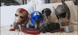 puppy-vengers%21