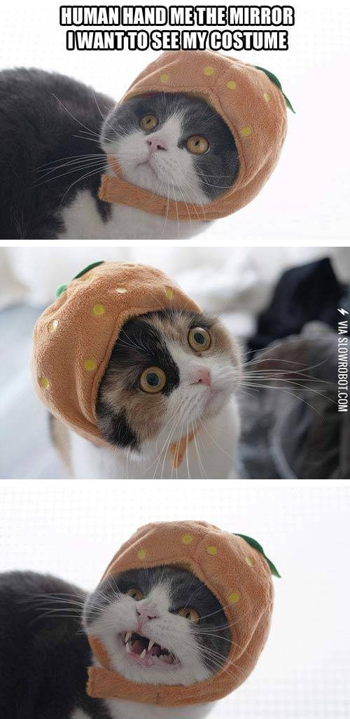 Human+hand+me+the+mirror%21