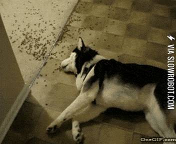 When+I%26%238217%3Bm+really+hungry+and+really+tired+at+the+same+time.