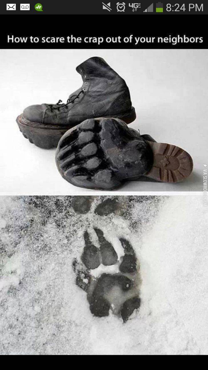 Where+can+I+buy+a+pair%3F