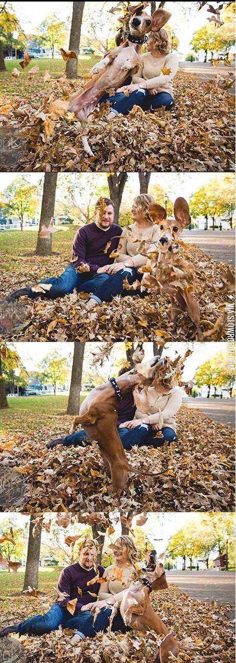 This+is+my+photo+shoot+now+human%21