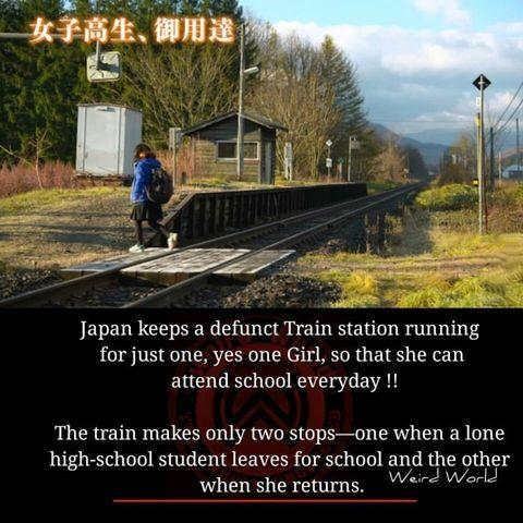 They+know+the+true+value+of+education%21