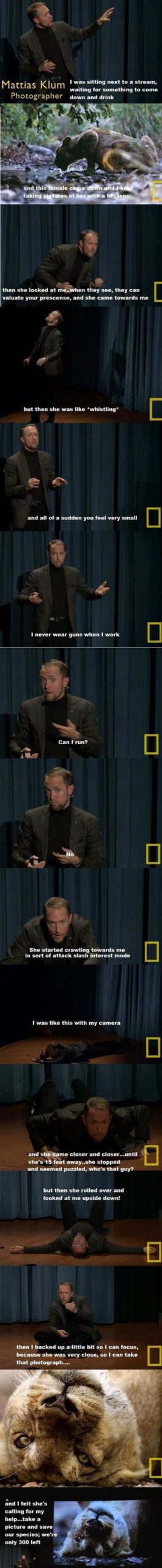 Famous+Photographer+Describes+His+Experience+With+A+Lioness