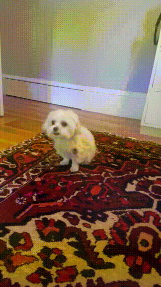 When+you+get+caught+doing+something+embarrassing%26%238230%3B