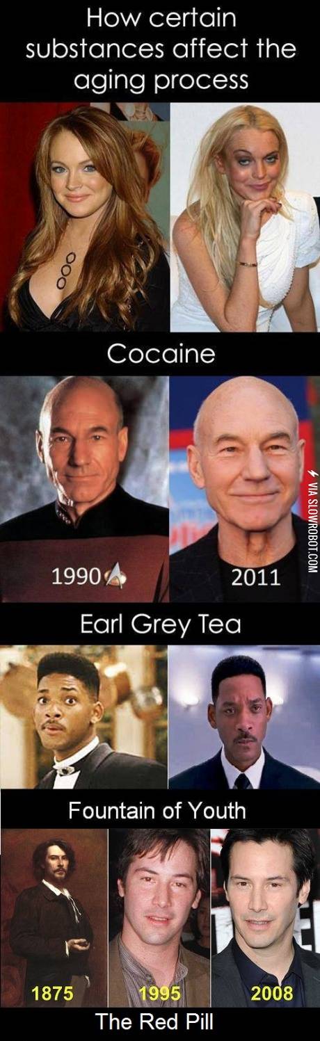 How+certain+substances+affect+the+aging+process.