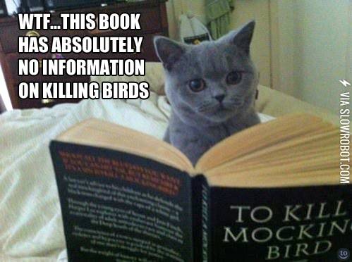 To+Kill+a+Mockingbird.
