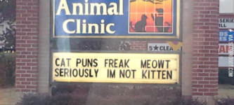 Cat+puns%26%238230%3B