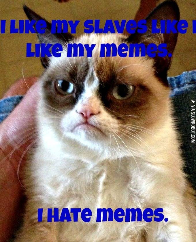 I+Hate+Memes