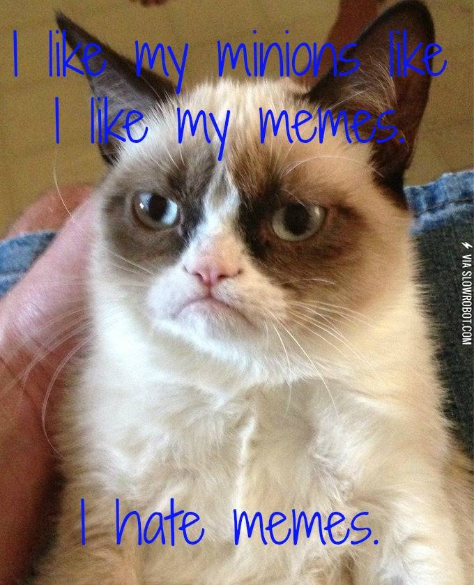 I+Hate+Memes.