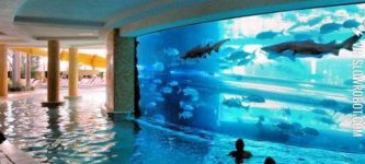 The+pool-aquarium.