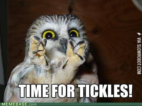 time+for+tickles%21%21%21