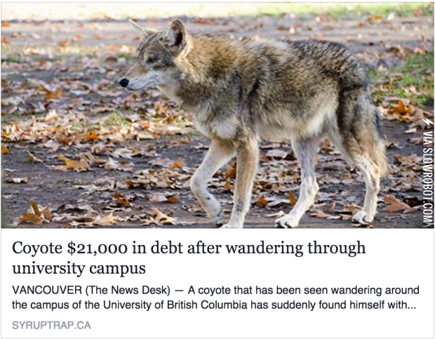 What+it%26%238217%3Bs+like+going+to+college