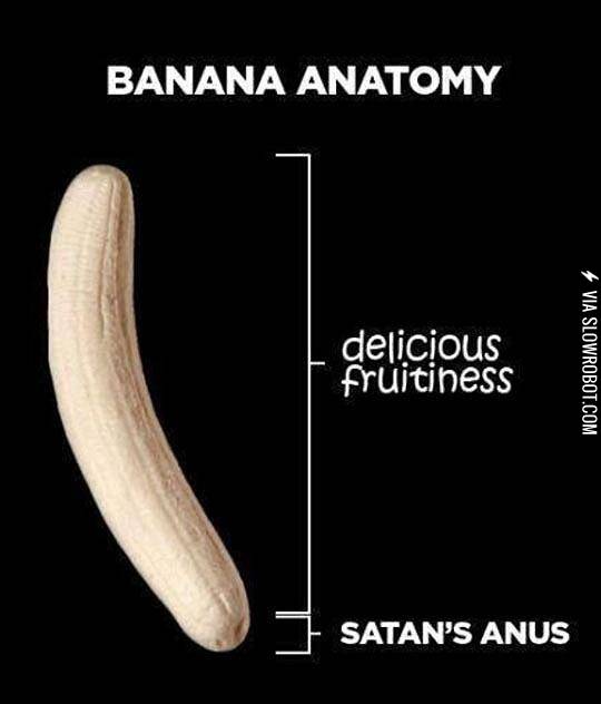 The+Anatomy+Of+A+Banana