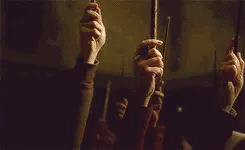 Raise+your+wands