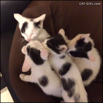 Cuuuuuttteeee%21%21%21