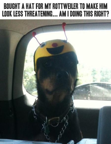 He%26%238217%3Bs+not+a+tough+guy