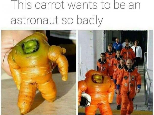 Astro-carrot