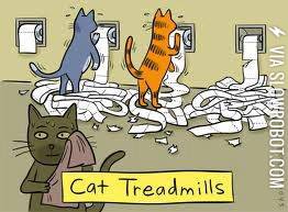 Cat+Treadmills