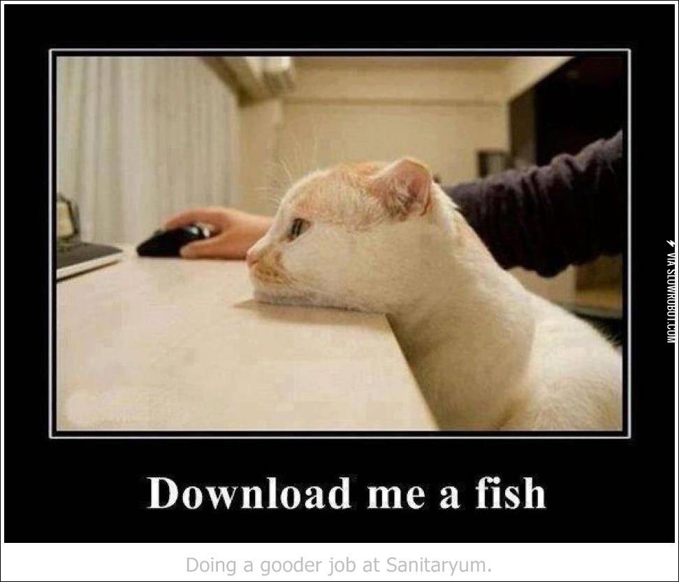 Download+a+fish