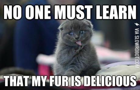 No+one+must+learn+that+my+fur+is+delicious.