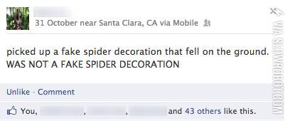 What+sheer+terror+feels+like.