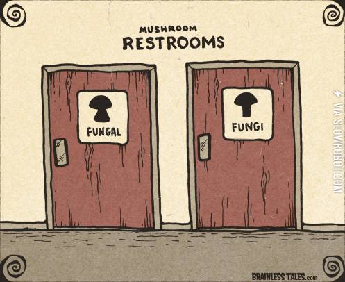 Mushroom+restrooms