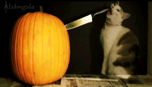 I+eat+knives+for+breakfast