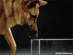 So+this+is+how+they+do+it.