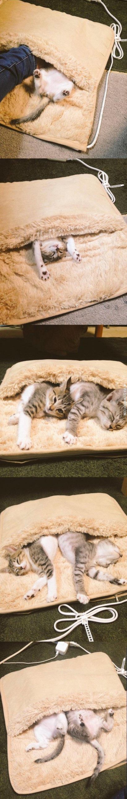 If+there+is+something+better+than+a+box%2C+it+must+be+the+footwarmer