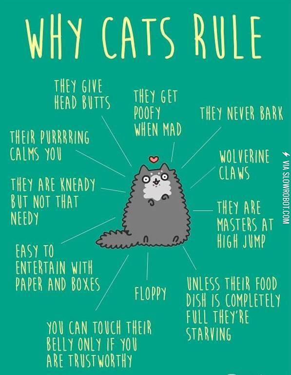 Why+cats+rule.