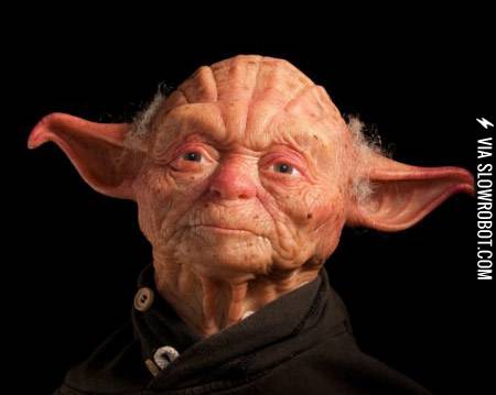 If+Yoda+were+caucasian.