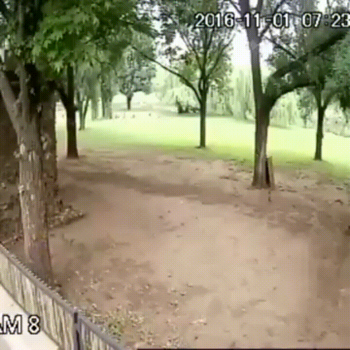 Earlier+this+week+the+new+guy+started+his+first+day+at+work.+CCTV+captured+his+progress.