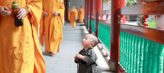 Little+Monk